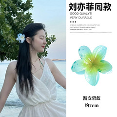 2025新款鲨鱼夹糖果色海边度假发卡鸡蛋花朵抓夹女高级感发夹头饰