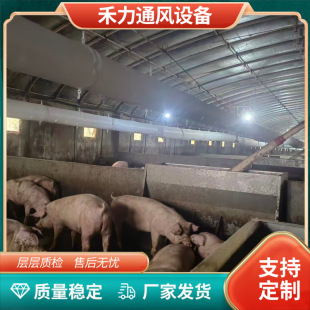 �i�������w�S���L�� �ҵ���׈A��ͨ�L�� �Bֳ�������L�C�����L��