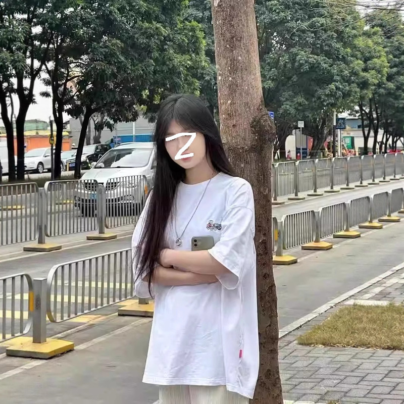 刺绣oversize纯棉短袖t恤男女美式设计感小众半袖情侣上衣体恤夏|undefined