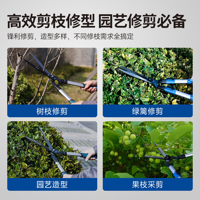 Dongcheng jardinería setos cortadores de flores y hierbas jardinería ramas de frutas cortadoras de jardinería tijeras grandes