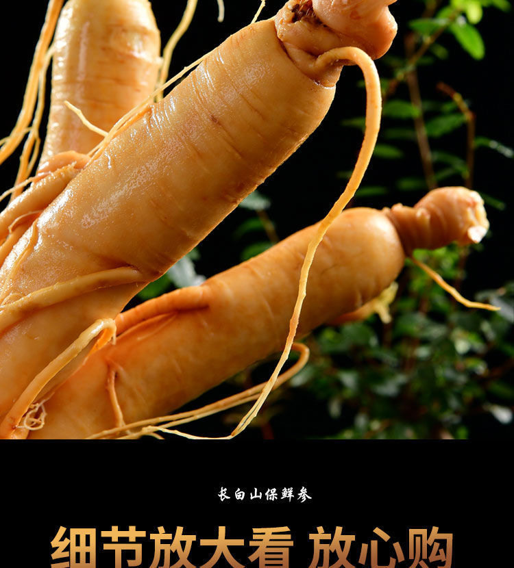 Fresh Changbai Mountain Ginseng Ren Shen Whole Root for Wine Infusion and Soup Making Gift Box quality and texture