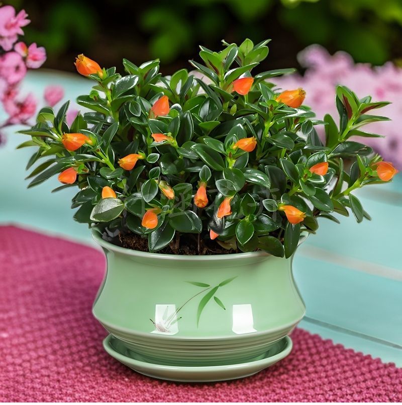 9f94efbf-e143-4af7-9390-9adbc5d03741.jpe