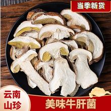 白牛肝菌黄牛肝菌干货云南特产野生菌黄赖头食用菌蘑菇净重