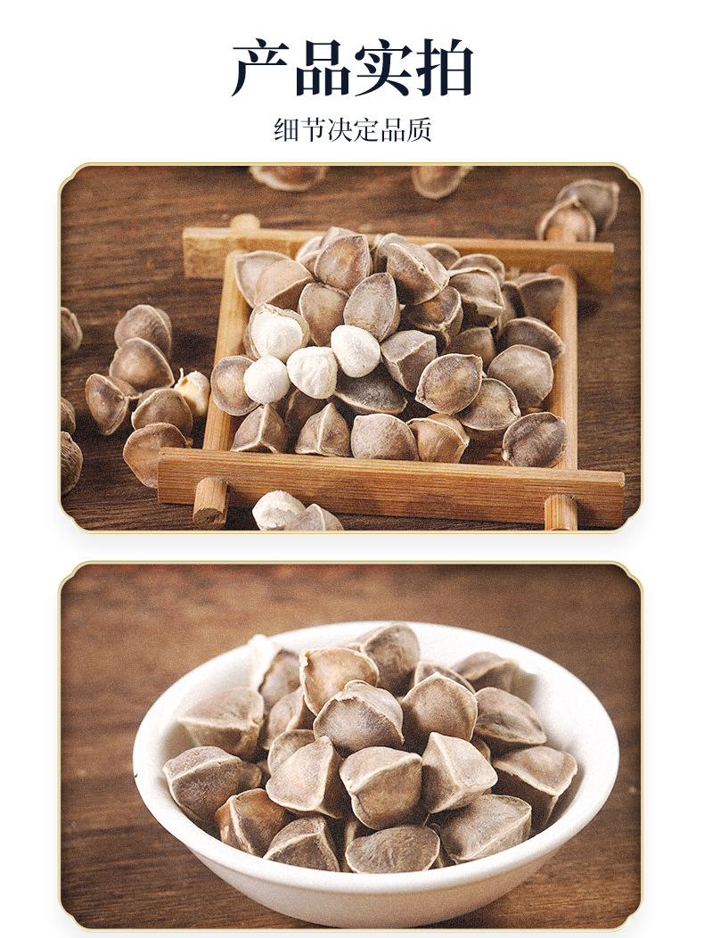 Moringa Seeds La Mu Zi Large Grade Dried Seeds 500g Bulk Pack in use