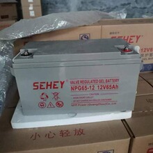 SEHEY늳NPG65-12So12V65AH ֱϵyUPS늙