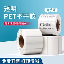 透明pet不干胶标签40x30 60 80 100x100空白防水撕不破可手写