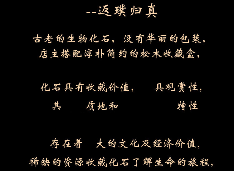 9664549752_578835722