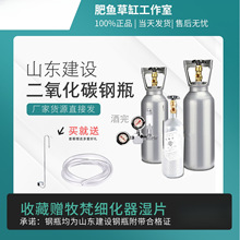 山东建设钢瓶二氧化碳鱼缸气瓶水草缸迪茨大双表计泡器细化器