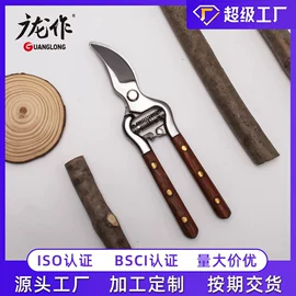 家用剪刀;厨用剪刀;修枝剪