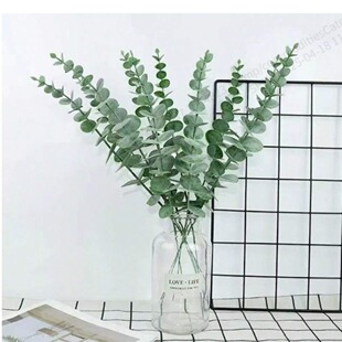 ������滨õ��������ٺϿ�ȸ�ݺ���������ܰ�Ҿ��b���ָб���