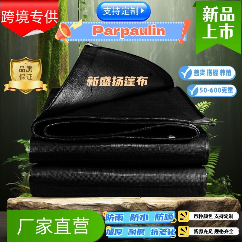 主图_副本_副本2