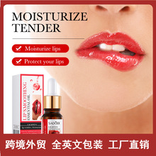 ȫӢ��SADOER�����ۻ����� ���񝙝��o���������Ϳ羳���Q���l