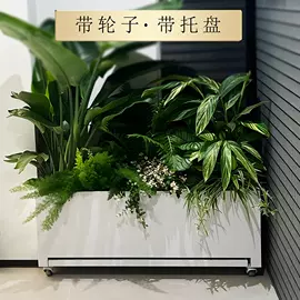 花箱;户外花架;园艺护栏