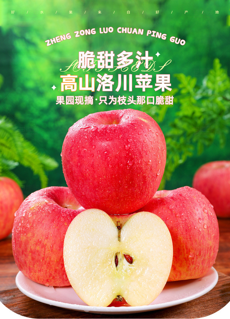 微信图片_20230919114109