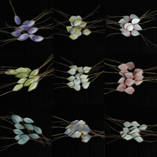 �S��ֱ�N���ֹ����z�Q�z�q�����Ʒ�������z����l����DIY���