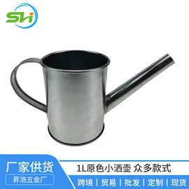 浇小洒壶喷壶工厂供应 种菜园艺花洒原色原色1升洒壶可定制生产