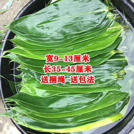 新鲜粽子叶批发家用粽叶家庭装特大号粽叶纯野生湖北粽叶商用真空