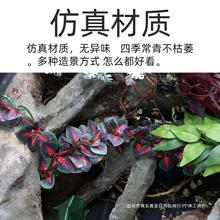 Reptizoo爬虫饲养箱造景仿真植物造景鱼缸蜥蜴龟蛇缸装饰藤蔓挂叶