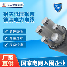 �S�����lYJLV22�Xо�͉�䓎��z�b�����|����0.6/1K���������|