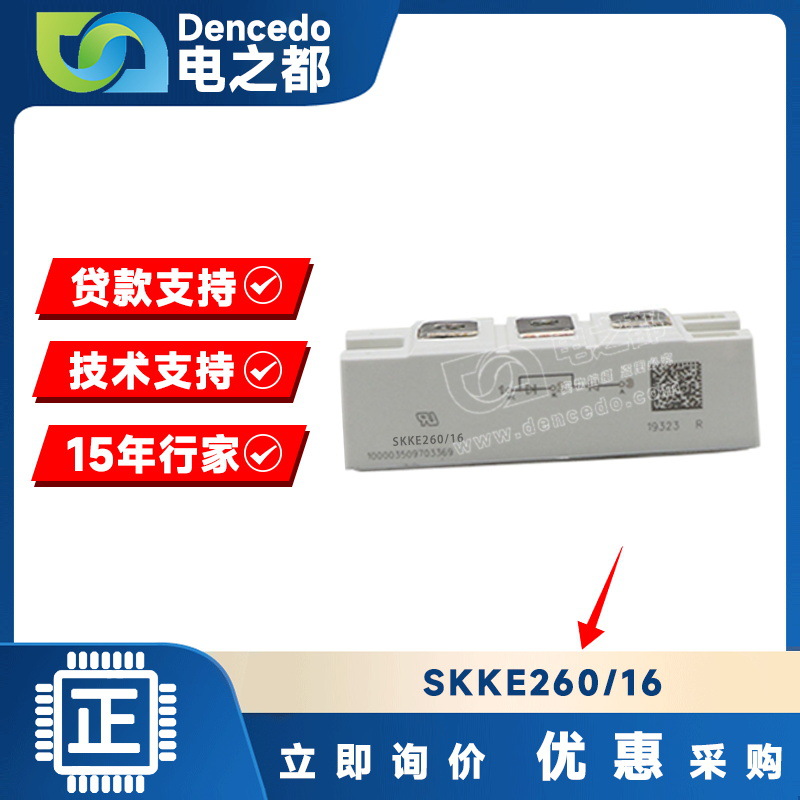 SKKE260/16 MODULE IGBT可控硅功率模块 原装全新