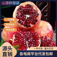 河南突尼斯软籽石榴整箱新鲜水果当季红宝石特大水果一件代发