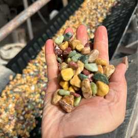 源头厂家批发彩色石子水磨石五彩水洗石地坪胶粘石洗米石地坪骨料