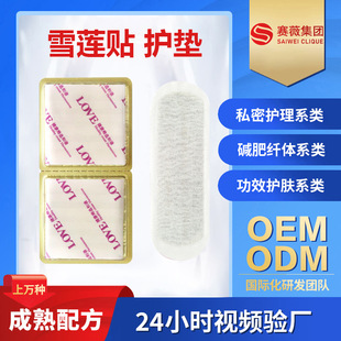 Snow Lotus Patch Pads Processing Gynecological Care Women's Antibacterial Cleansing Pads Snow Lotus Patch Private Parts Care Patch