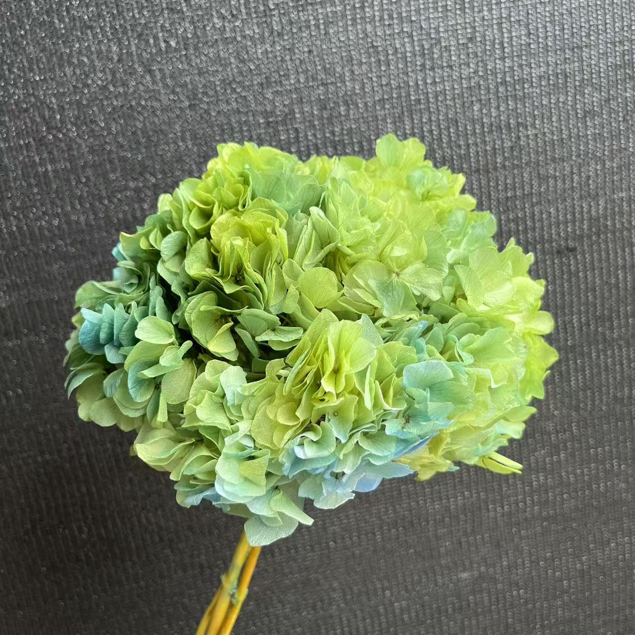 gradiente azul-verde