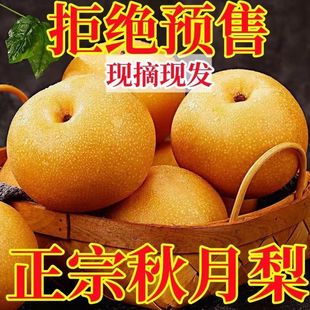 ɽ�|������ˮ�����r��������Ƥ����������]���l