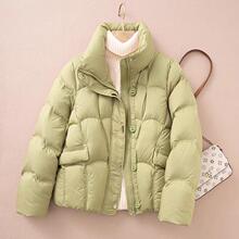 С���ӿ��¿���q�޷�2025��������@�ݼӺ�ůС�������e����