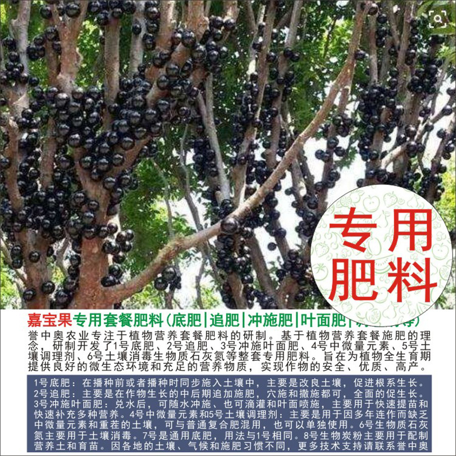 50�����а¼α���������ר���л��ʸ��Ϸʵ׷�׷��Ҷ��ʳ�ʩ��