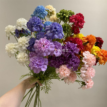 5�^���x�� ���滨��c�廨�b���݆����r���{�軨���x�ݻ��Ҿ�