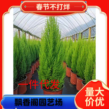 һ�����l�}�Q�����Ɏ���ζ��ڰ�ֲ���҃��̨Ժ������ζ�͸ߜ���