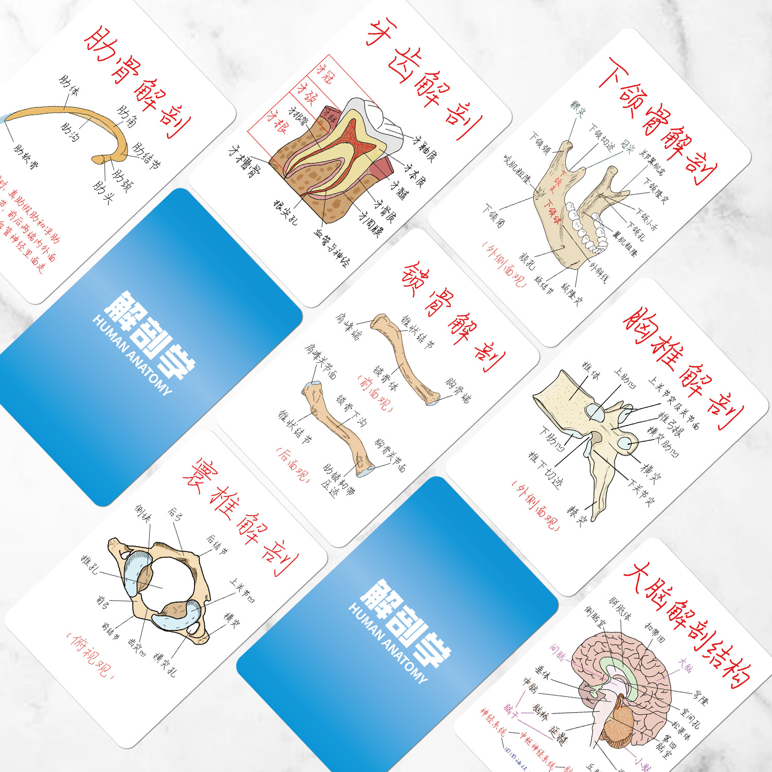 商品图