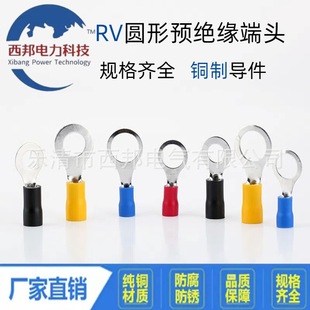 RV1.25�S�~ϵ�ЈA���A�^���䉺�Ӿ������~���Ӿ����S�~�������a