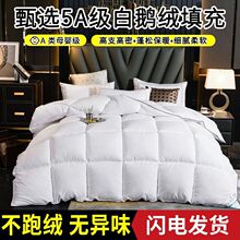 特价正品羽绒被羽丝棉冬被加厚保暖白鹅绒棉被学生宿舍春秋被芯