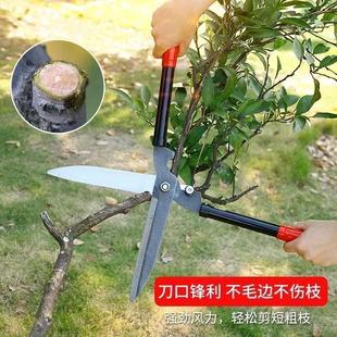 �@ˇ��֦���޾G����ƺ�G�h���󻨼�@�ּ�֦�����޼���֦���ü���