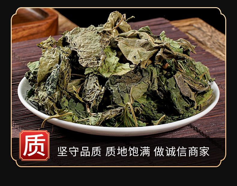 Mulberry Leaf (Morus alba) Frost-Touched Sang Ye — Dried Food Herb for Tea & Cooking quality and texture