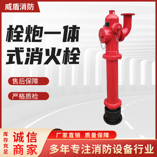 Bolt-gun integrated fire hydrant anti-collision pressure regulating ground bolt anti-freezing self-draining fire monitor SSFT100-1.6