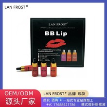 跨境外贸专供BB Lip新款微针唇彩套装  LAN FROST半永久唇彩