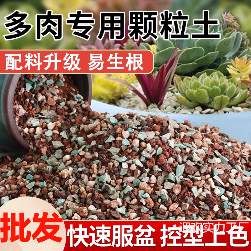 多肉植物粒土、特殊栄養土、医療石、一般花植物多肉植物土、カラフルな小石舗装|undefined