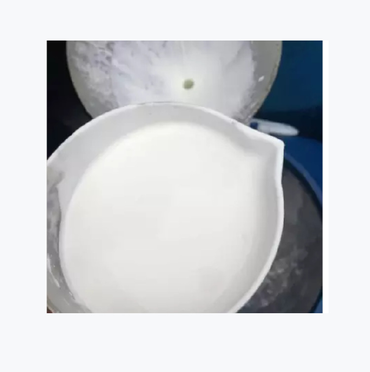 底漆乳液BLJ5510 BLJ-9055抗撕粘底抗碱底漆保立佳底漆乳液