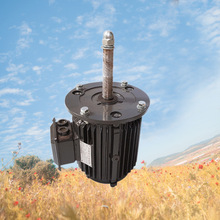 冷却塔专用三相异步电动机 凉水塔风机专用电机YCCL801-6 0.25KW