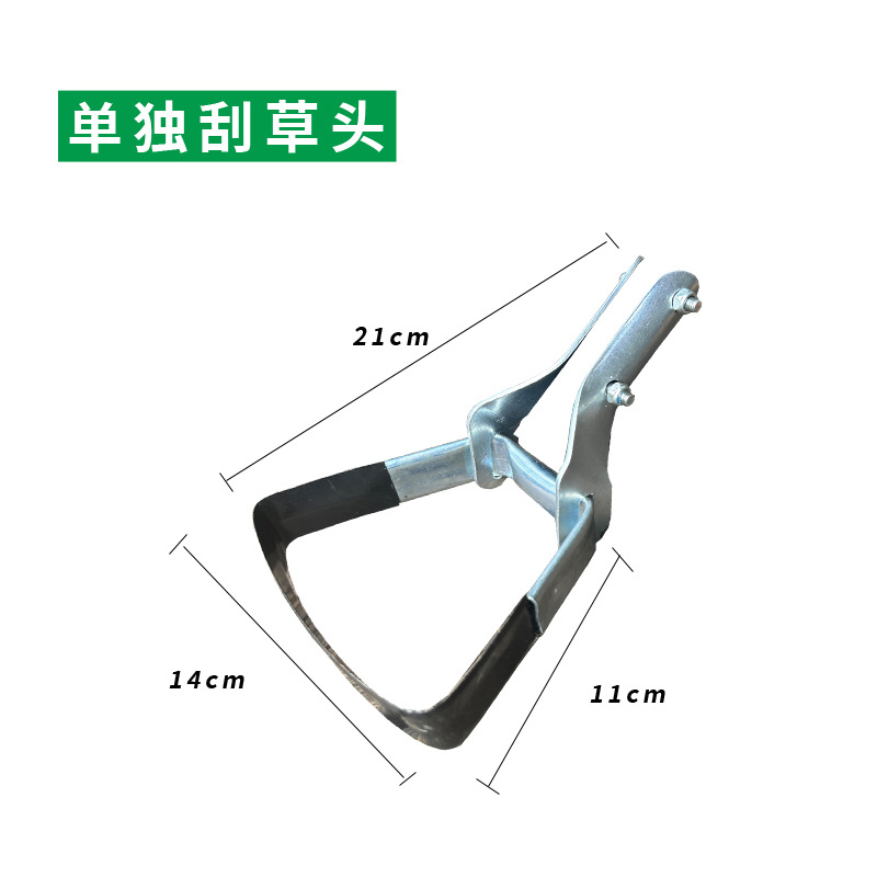 잡초 머리 대머리