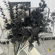 ?��ɫ�aƷ���˲��Q �͹ź�ɫϵ�� �ٻ���ɫ�ȼ���õ��zӰ��