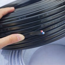 ����BLVVB2*10ƽ���Xоƽ�о������о��|10ƽ���Xо�o�׾�