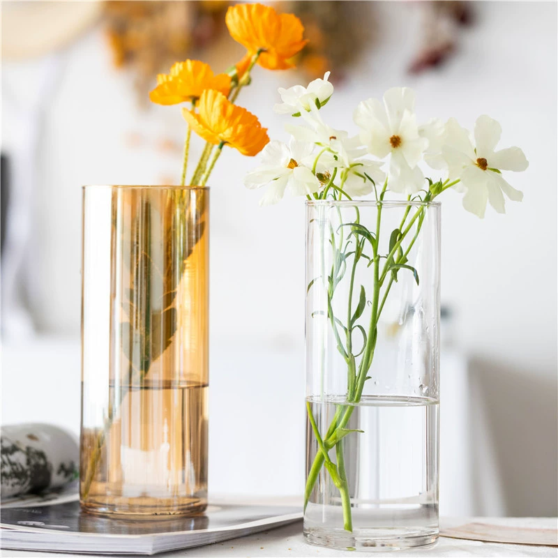 Гальваника в американском стиле с большим ртом, красочная стеклянная ваза для полярных сияний, обеденный стол, цветы, зеленые растения, Гидропоника