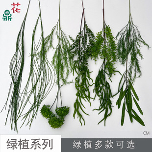 ����ӭ���� ��֦�JȔ�� ��֦�ȼ��� ��c����Ҿӽ����廨 ������