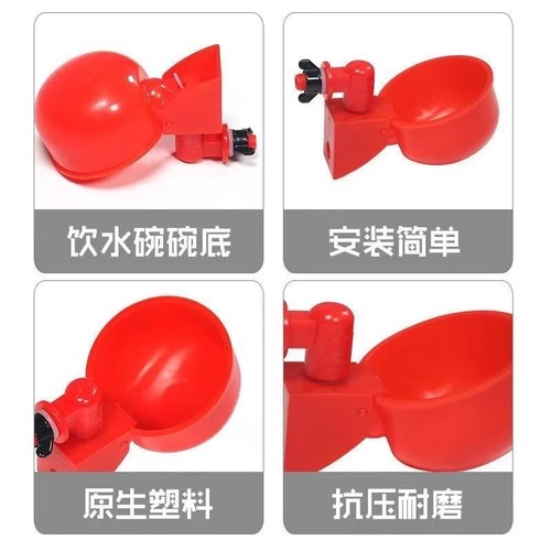 Automatic waterer for poultry chickens ducks drinking pigeon waterer chick drink quail bird chicken use small farming
