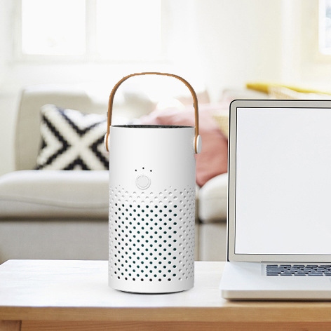 Foreign Trade Small Portable Mini Air Purifier Negative Ion Sterilization Formaldehyde Handle USB Air Evolution